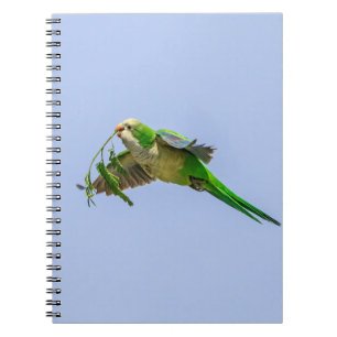 Cuaderno Parque Monje en el Valle del Río Grande