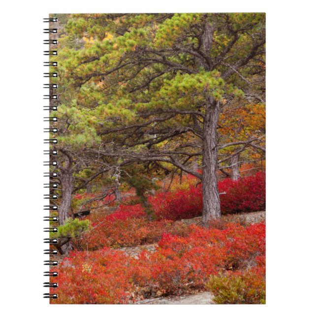 Cuaderno Parque nacional Acadia, Maine (Frente)