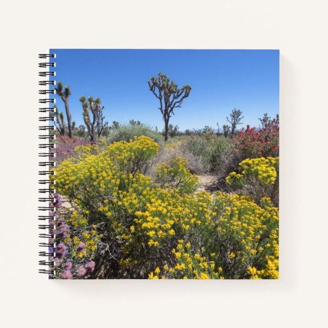 Cuaderno Parque Nacional Árbol Joshua En Bloom (Anverso)