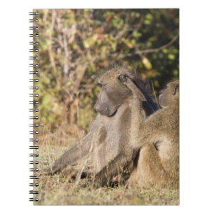 Cuaderno Parque nacional de Kruger, Suráfrica