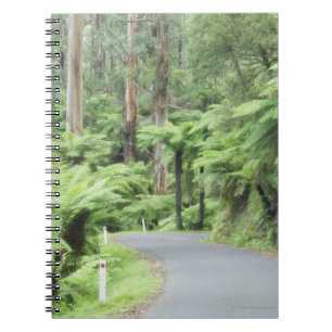 Cuaderno Parque nacional de Tarra Bulga, gamas de