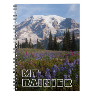 Cuaderno Parque Nacional del Monte Rainier, Monte Rainier 3