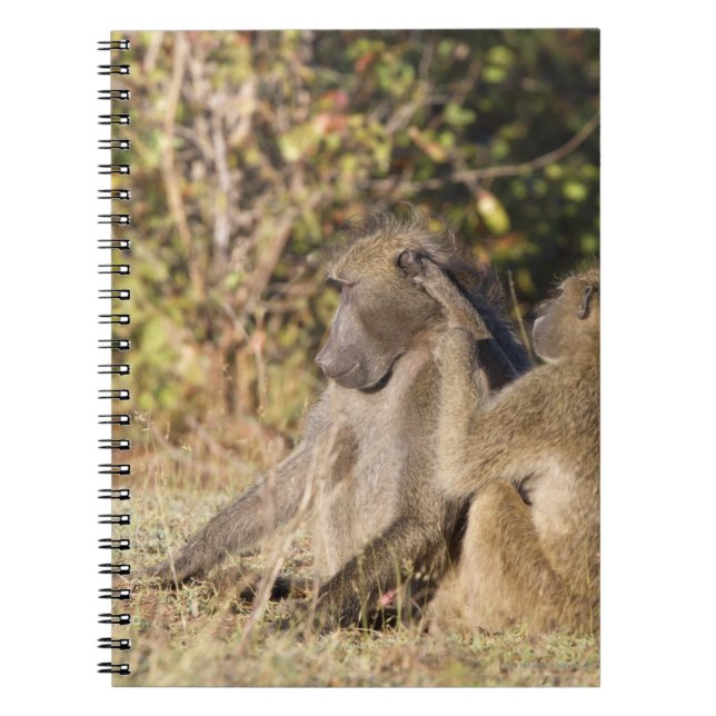 Cuaderno Parque nacional Kruger, Sudáfrica (Frente)