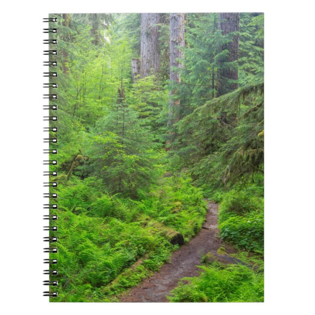 Cuaderno Parque Nacional Olímpico, sendero forestal (Frente)