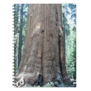 Cuaderno Parque nacional Sequoia