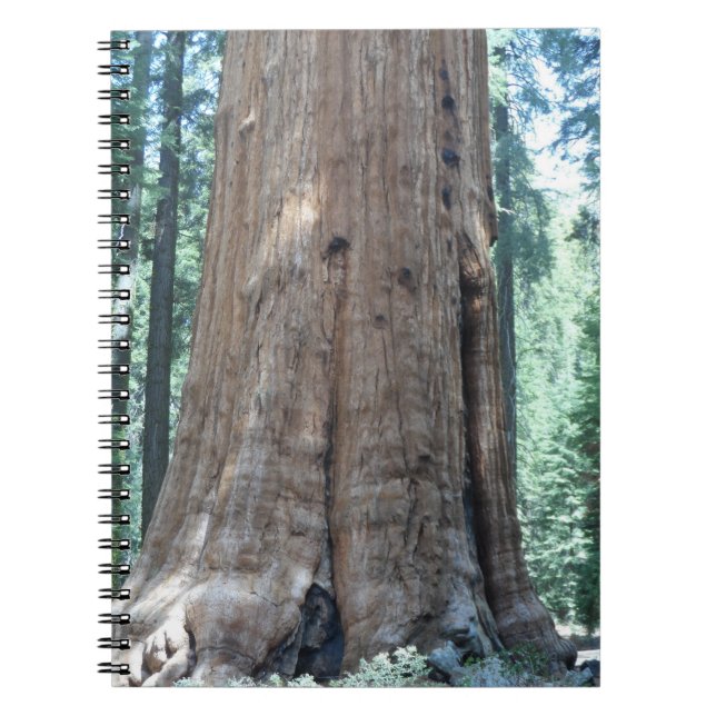 Cuaderno Parque nacional Sequoia (Frente)