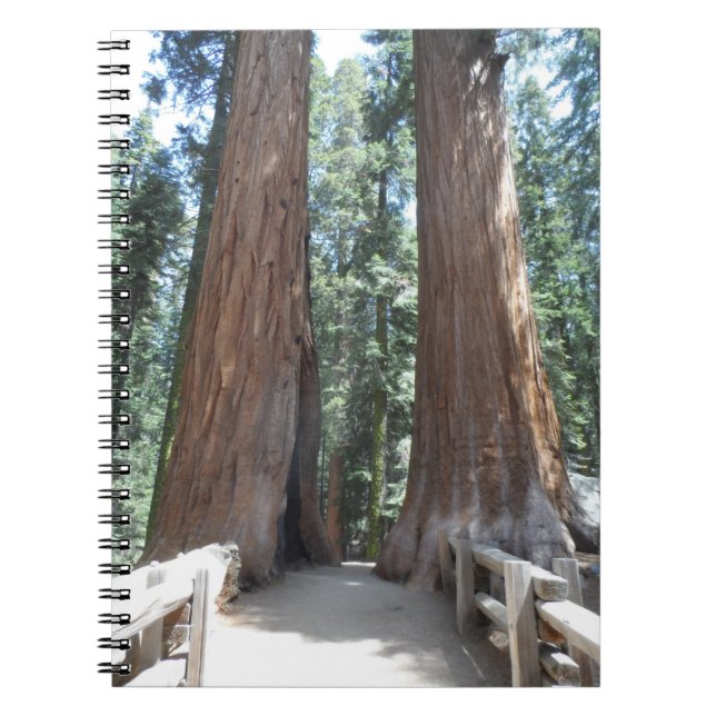 Cuaderno Parque nacional Sequoia (Frente)
