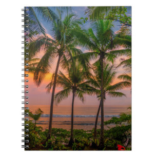 Cuaderno Parque nacional tropical de la playa el  