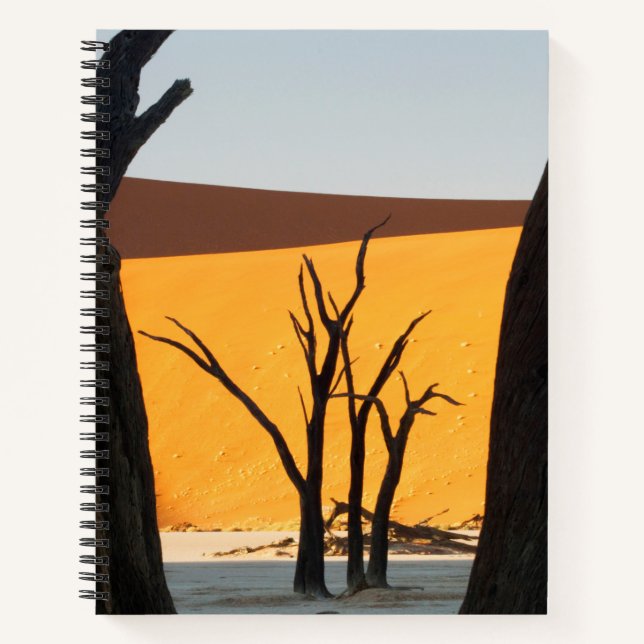 Cuaderno Parque Namib-Naukluft, Sossusvlei | Dead Vlei (Anverso)