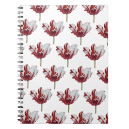 Cuaderno Parrot Tulip Fine Art Print
