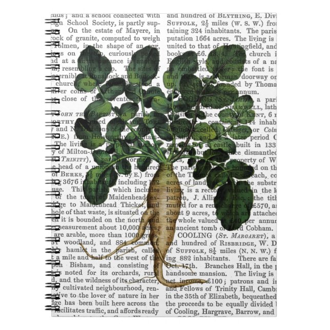 Cuaderno Parsnip 1 (Frente)