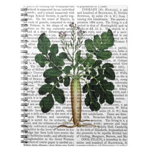 Cuaderno Parsnip 3