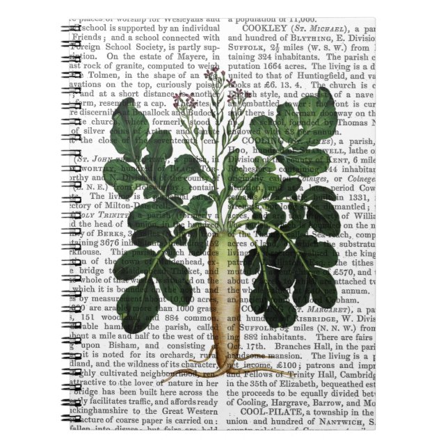 Cuaderno Parsnip 3 (Frente)