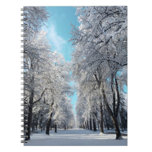 Cuaderno paseo de invierno por el parque