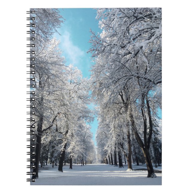Cuaderno paseo de invierno por el parque (Frente)