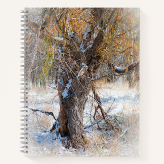 Cuaderno Paseo del sauce