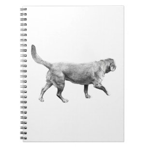 Cuaderno paso firme de sombra