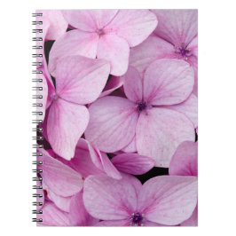 Cuaderno Pastel Charm: Pink Flowers in the Heart of SAPA