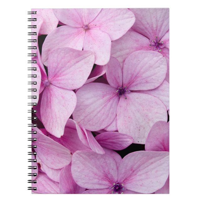 Cuaderno Pastel Charm: Pink Flowers in the Heart of SAPA (Frente)