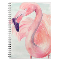 Pastel Flamingo