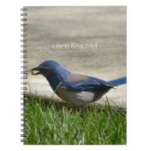Cuaderno Pasto de pájaro azul (mi fotografía)