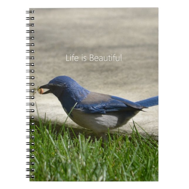 Cuaderno Pasto de pájaro azul (mi fotografía) (Frente)