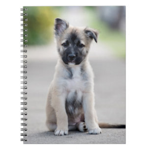 Cuaderno Pastor alemán cachorro al pie