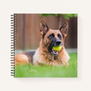 Cuaderno Pastor Alemán Con Pelota De Tenis