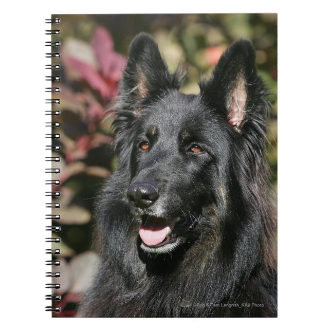Cuaderno Pastor alemán de pelo largo negro (Frente)