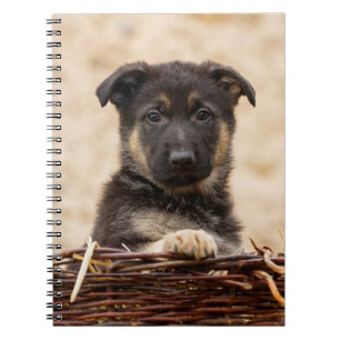 Cuaderno Pastor alemán en cesta
