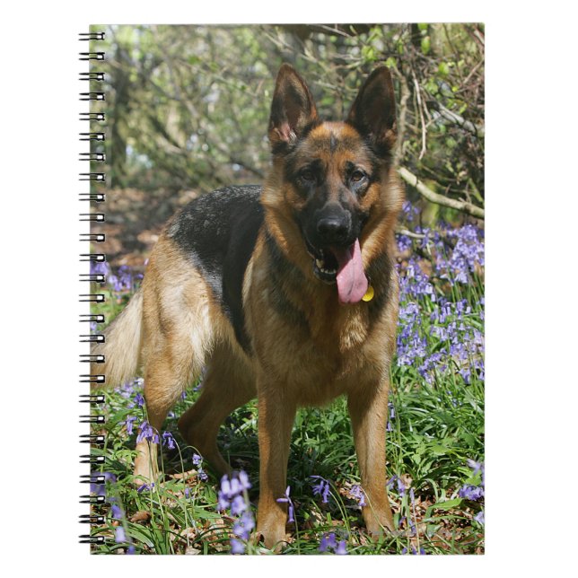 Cuaderno Pastor alemán que coloca (Frente)