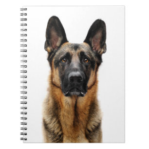 Cuaderno Pastor alemán sentado