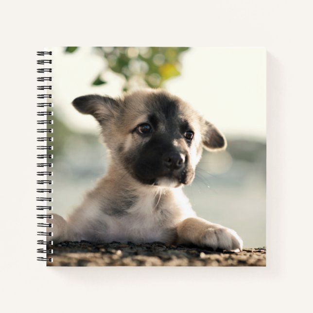 Cuaderno Pastor alemán sobre borde (Anverso)