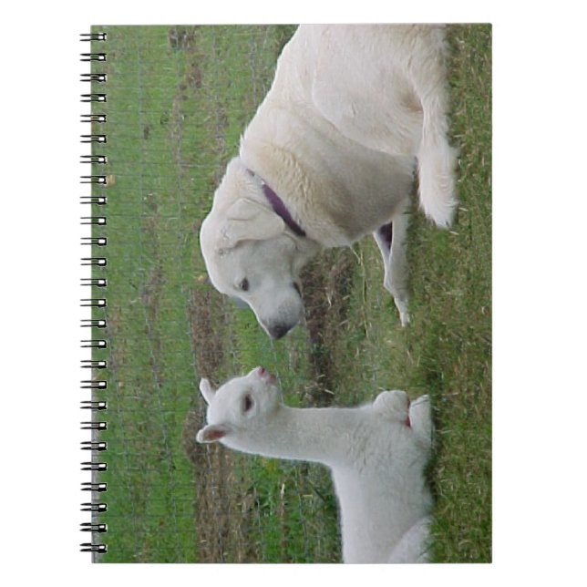 Cuaderno Pastor anatoliano y Alpaca Cria (Frente)