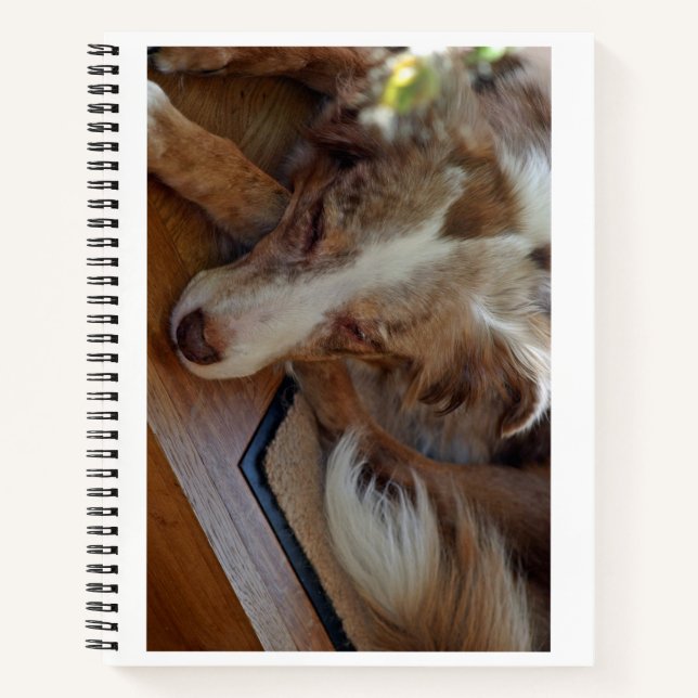 Cuaderno pastor australiano de merle rojo durmiendo (Anverso)