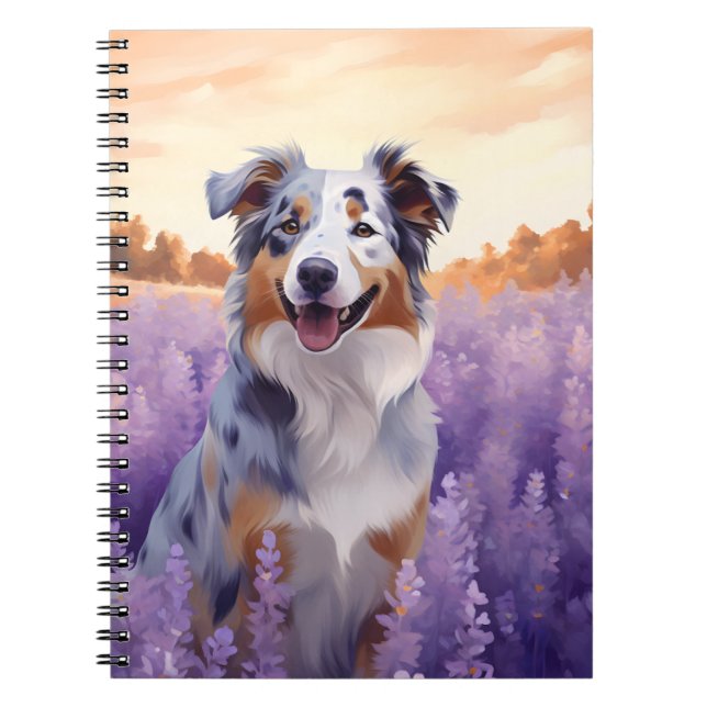Cuaderno Pastor australiano en el campo de Lavender (Frente)
