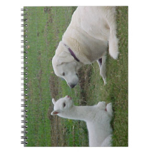 Cuaderno Pastor y alpaca de Anatolia Cria