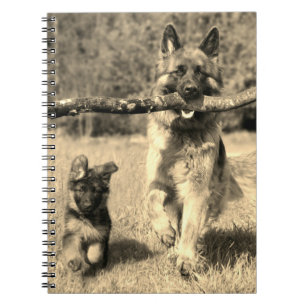 Cuaderno Pastores alemanes