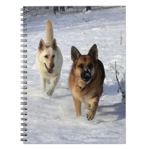 Cuaderno Pastores alemanes que corren en la nieve