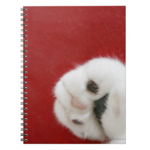 Cuaderno Pata de gato