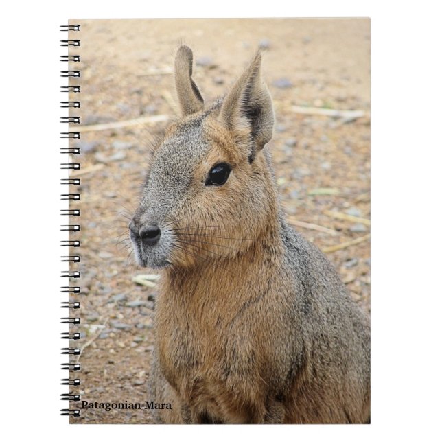 CUADERNO PATAGONIAN MARA (Frente)