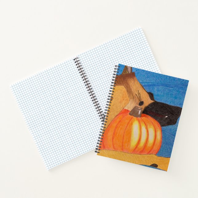 Cuaderno Patas y Calabaza (Interior)