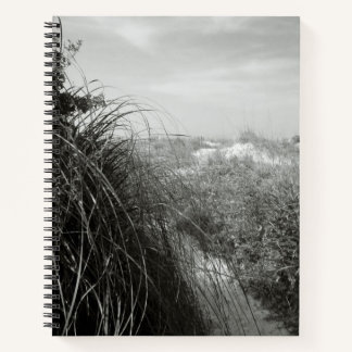 Cuaderno Path Through the Dunes | Rustic Beach Journal