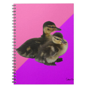 Cuaderno Patitos sobre frambuesa rosa y sorbete morado
