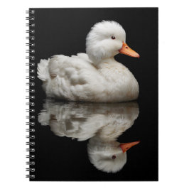 Cuaderno Pato