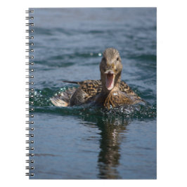 Cuaderno Pato con el pico abierto