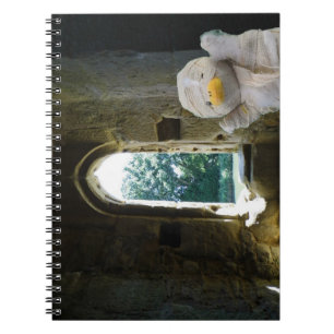 Cuaderno Pato Danny la Momia