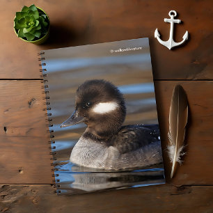 Cuaderno Pato de Bufflehead en las aguas soleadas