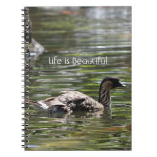 Cuaderno Pato de Kauai Hawaii (mi fotografía)