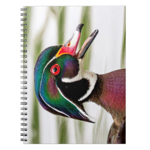 Cuaderno Pato de madera